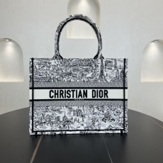 Christian Dior Shopping Bags